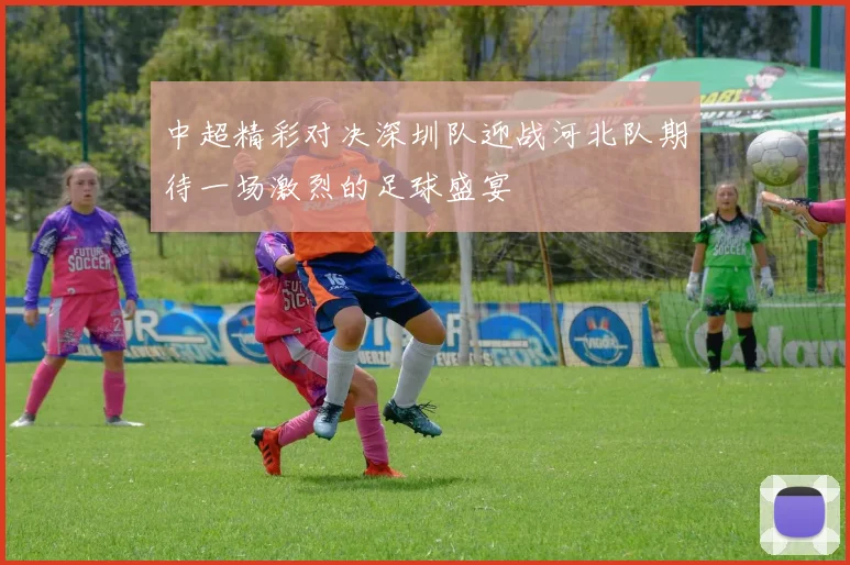 中超精彩对决深圳队迎战河北队期待一场激烈的足球盛宴
